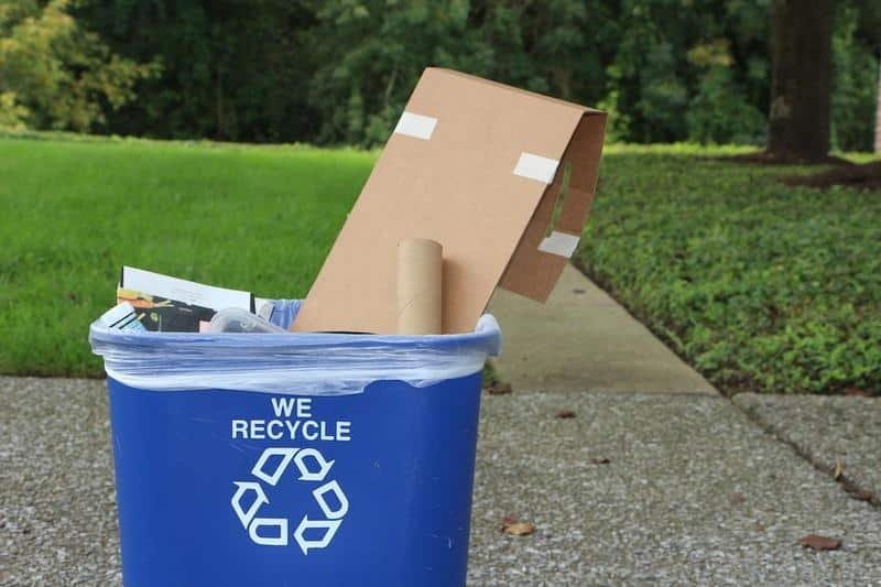 What Can Be Thrown Into The Recycling Waste Bin?