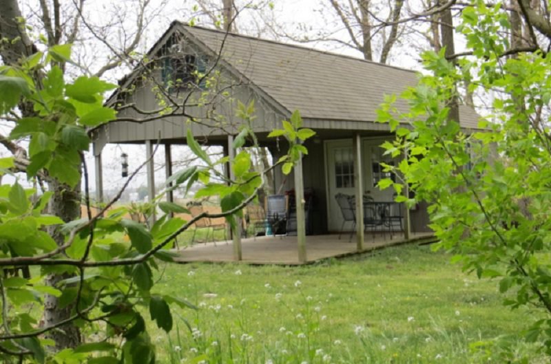 3 tips for buying a shed for your backyard to be summer-ready