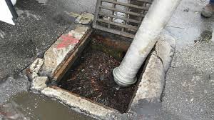 Common Commercial Drain Cleaning Services