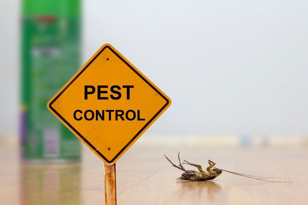 Should you hire a Cheap Pest Control Service? 