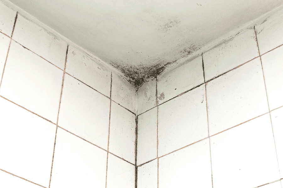 HOW TO QUIT MOLD AND MILDEW GROWTH IN SHOWER ROOM