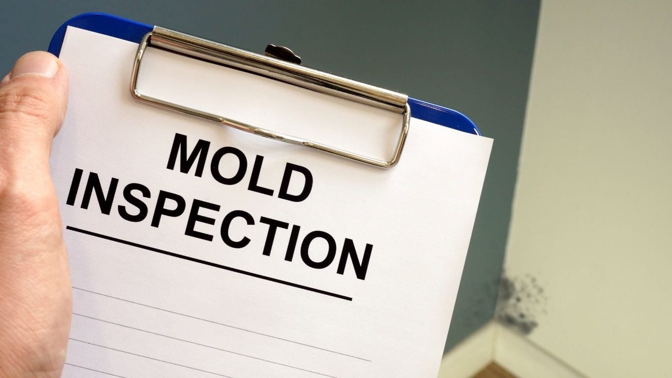 Reasons To Get a Mold Inspection Before Buying Any House