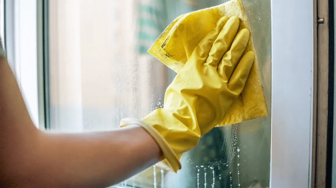 All Options For the Effective Mold Remediation | Creative Home Idea