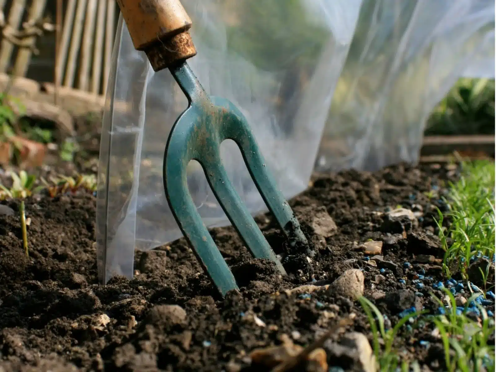 The 3 Best Ways To Extend Your Gardening Season