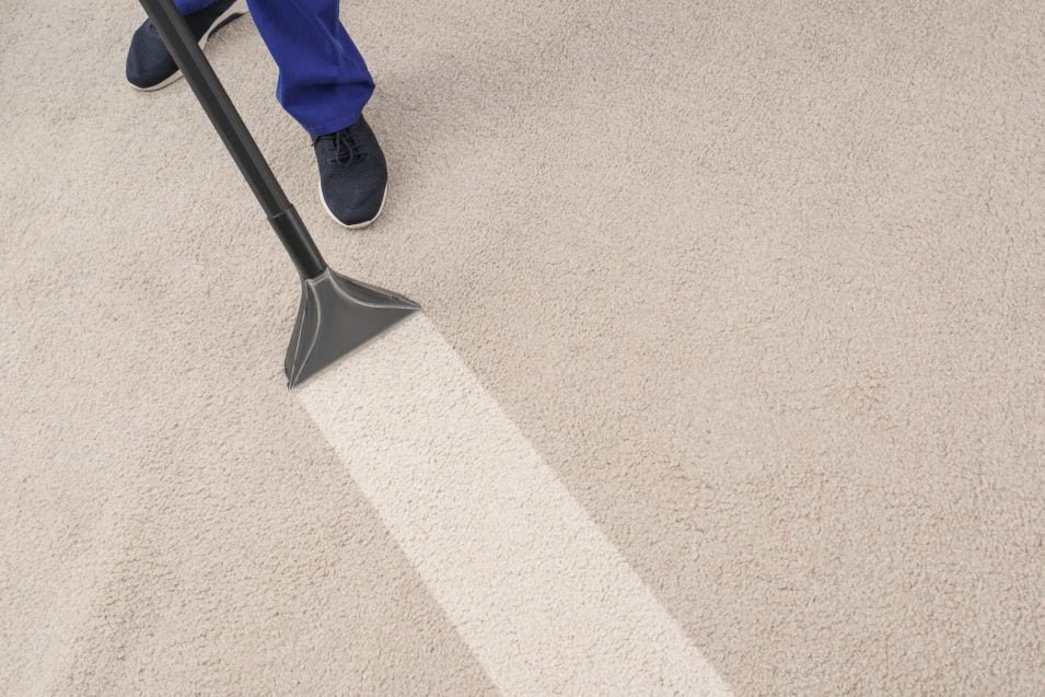 The Importance of Professional Carpet Cleaning in High-Traffic Areas