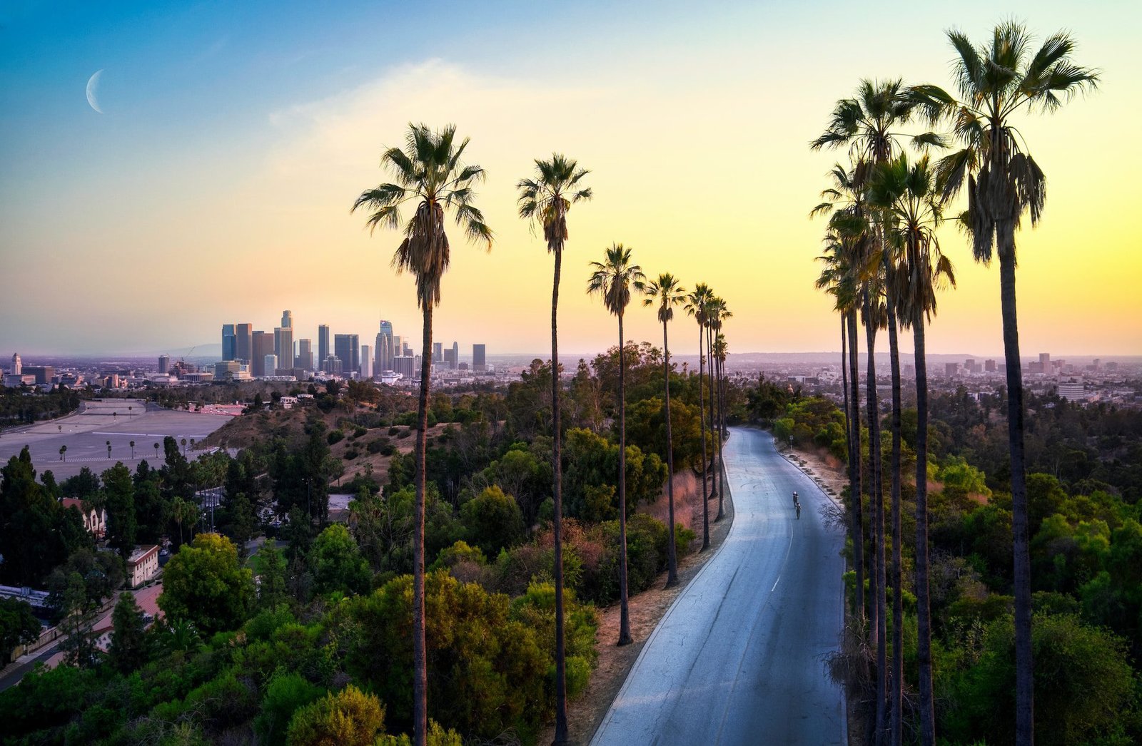 The Role of Trees in Combating the Urban Heat Islands of Los Angeles