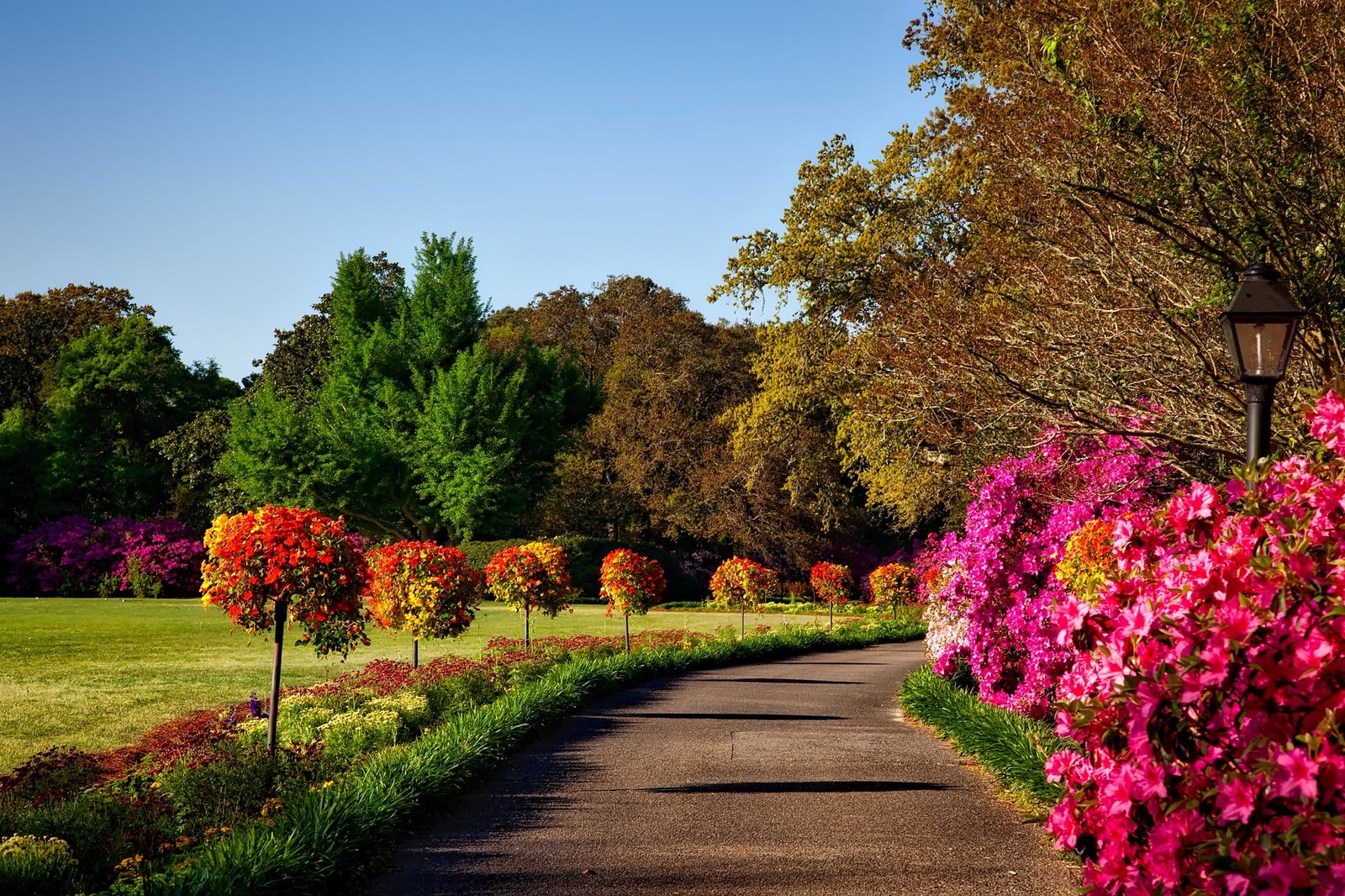 Budget-Friendly Garden Landscaping: Creative Ideas for a Stunning Yard Makeover