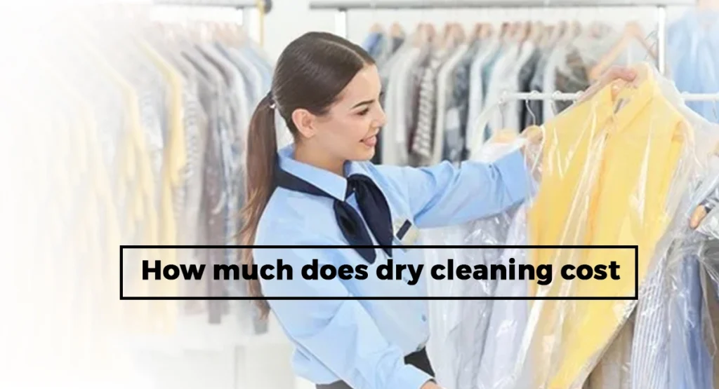 Unveiling the Price of Pristine: How Much Does Dry Cleaning Cost? 
