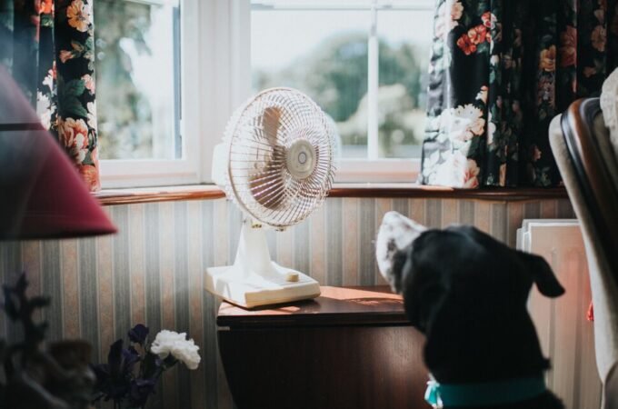 Eco-Friendly Cooling Solutions: Embracing Swamp Cooler Fans