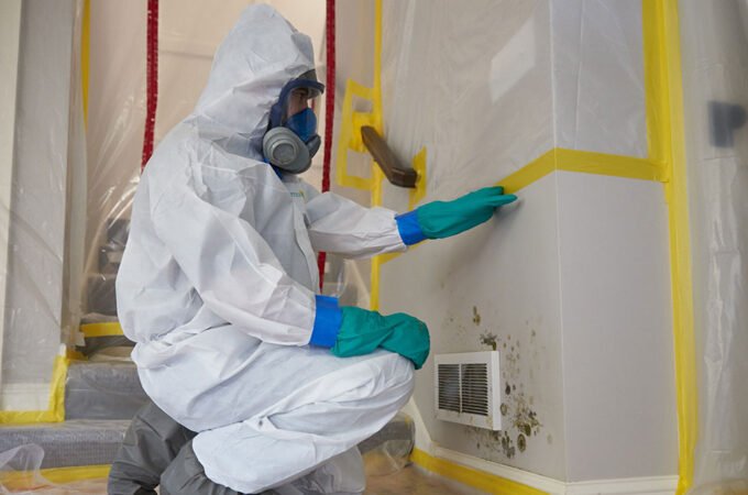 6 Compelling Reasons to Hire a Professional Mold Removal Company to Get Rid of Your Mold